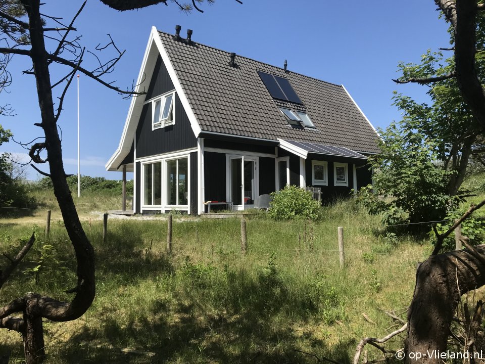 Aalscholver, Facebook-Seite für auf Vlieland