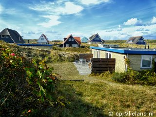 Albatros, Eigene Preiselbeeren pflücken auf Vlieland