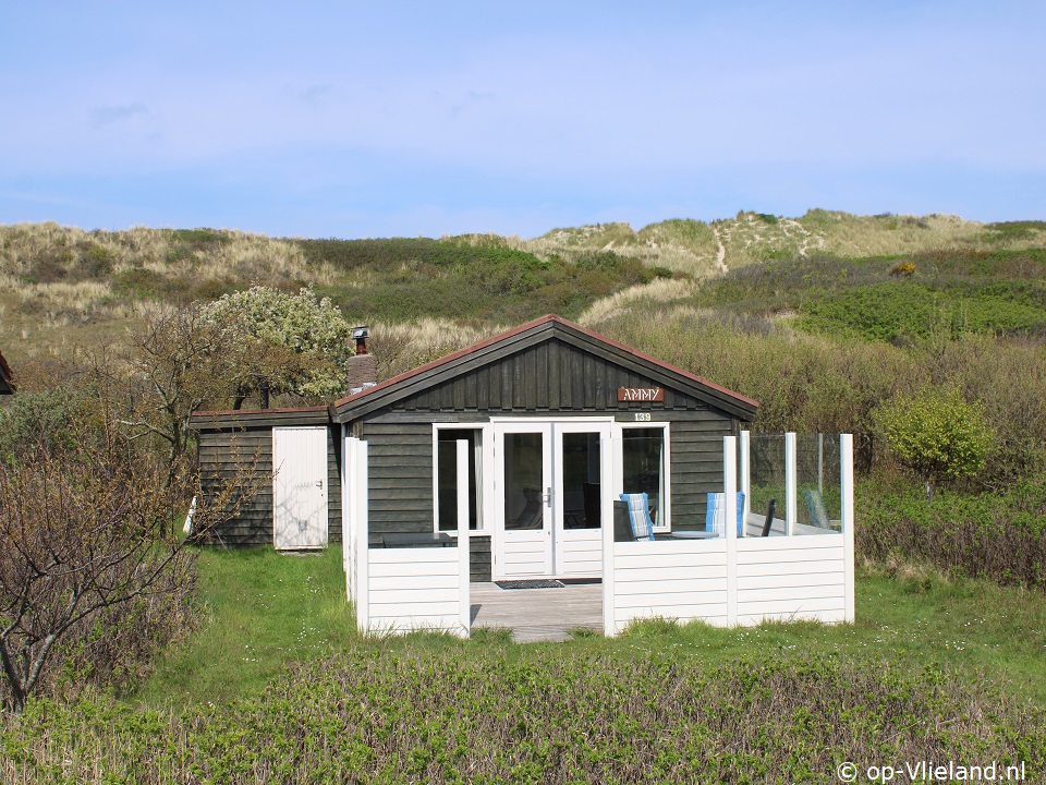 Ammy de Kaap, Eigene Preiselbeeren pflücken auf Vlieland