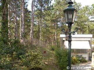 Studio Arma, Eigene Preiselbeeren pflücken auf Vlieland