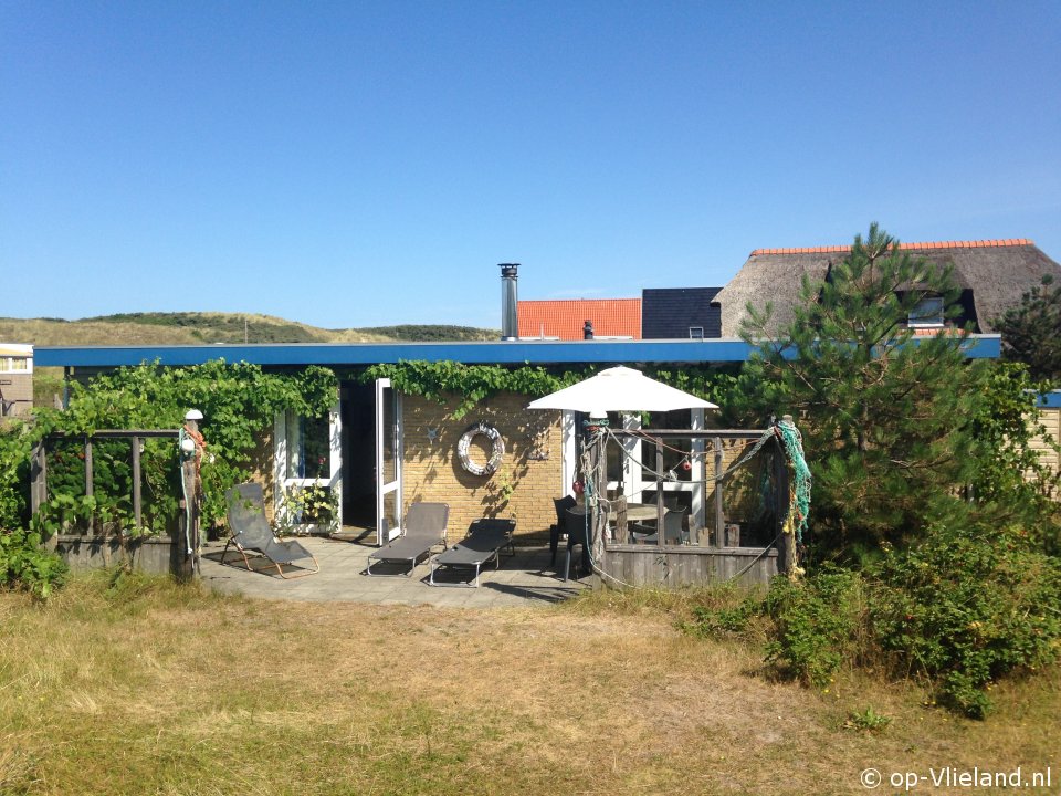 de Brigantijn, Eigene Preiselbeeren pflücken auf Vlieland