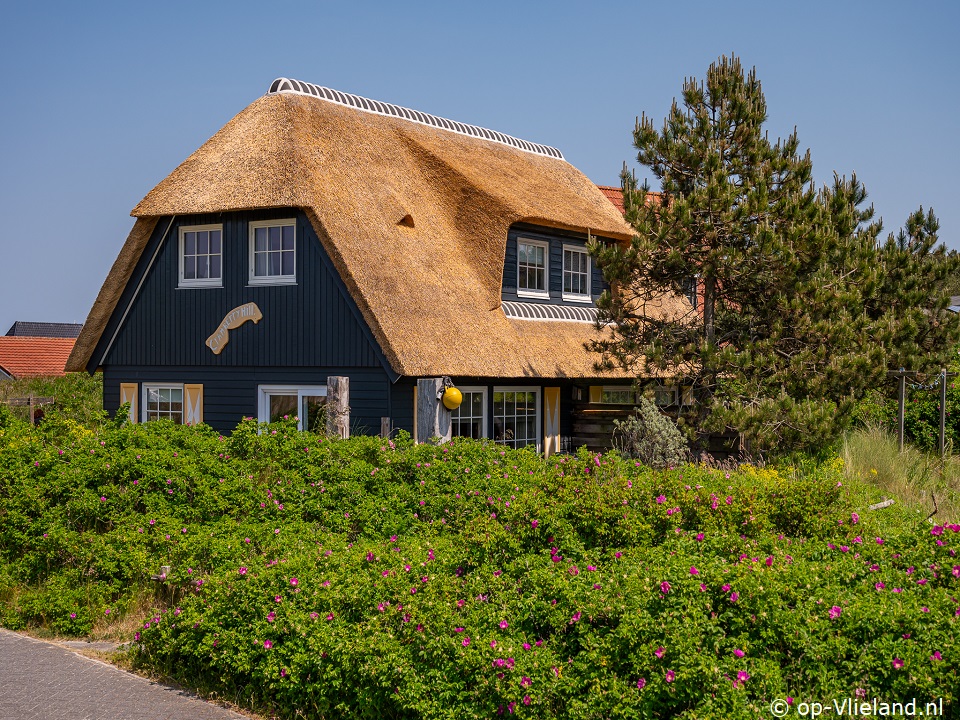 Cranberry Hill, Fähre nach Vlieland