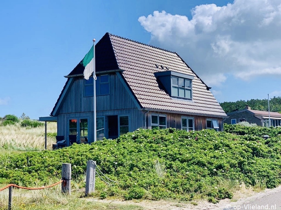 De Meermin, Fähre nach Vlieland