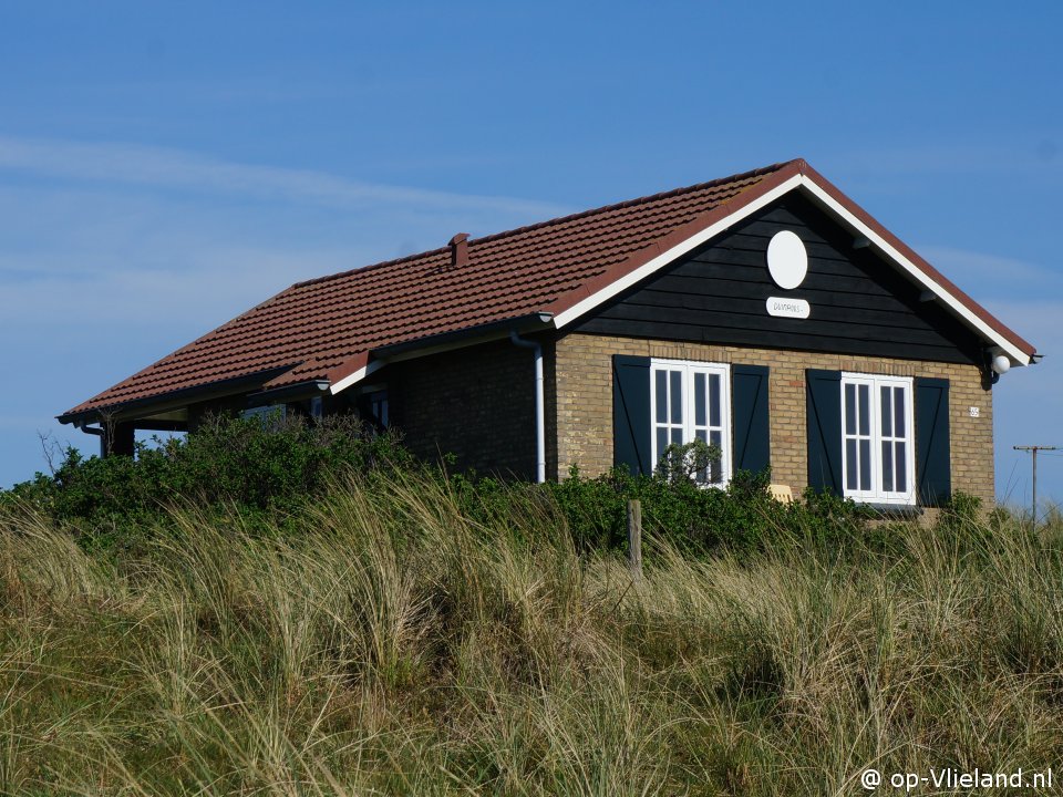 Duinroos, Strand auf Vlieland