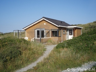 Eider, Gesundheit auf Vlieland