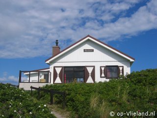 Flierefluiter, Tag in Vlieland