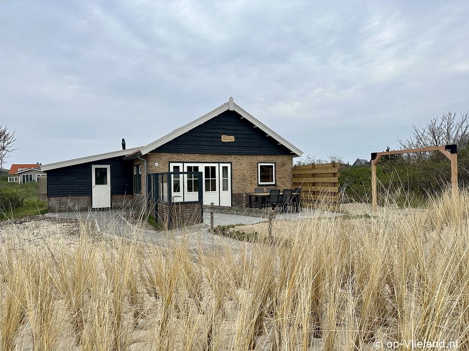 Goudvink, Ebbe und Flut auf Vlieland