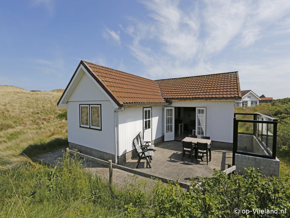 Hagedis, Strand auf Vlieland