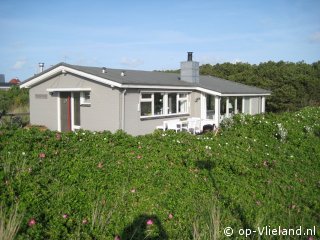 `t Hoge Land, Winter auf Vlieland