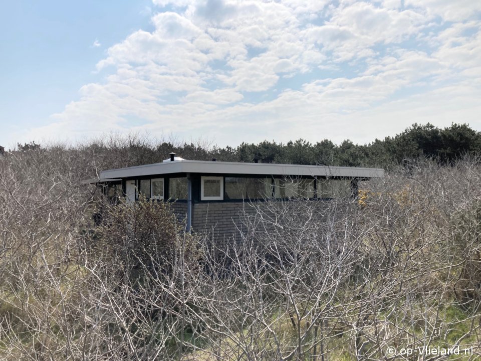 Hoogaars, Facebook-Seite für auf Vlieland