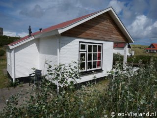 Karekiet, Strand auf Vlieland