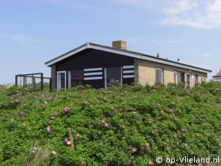 Notenkraker, Strand auf Vlieland