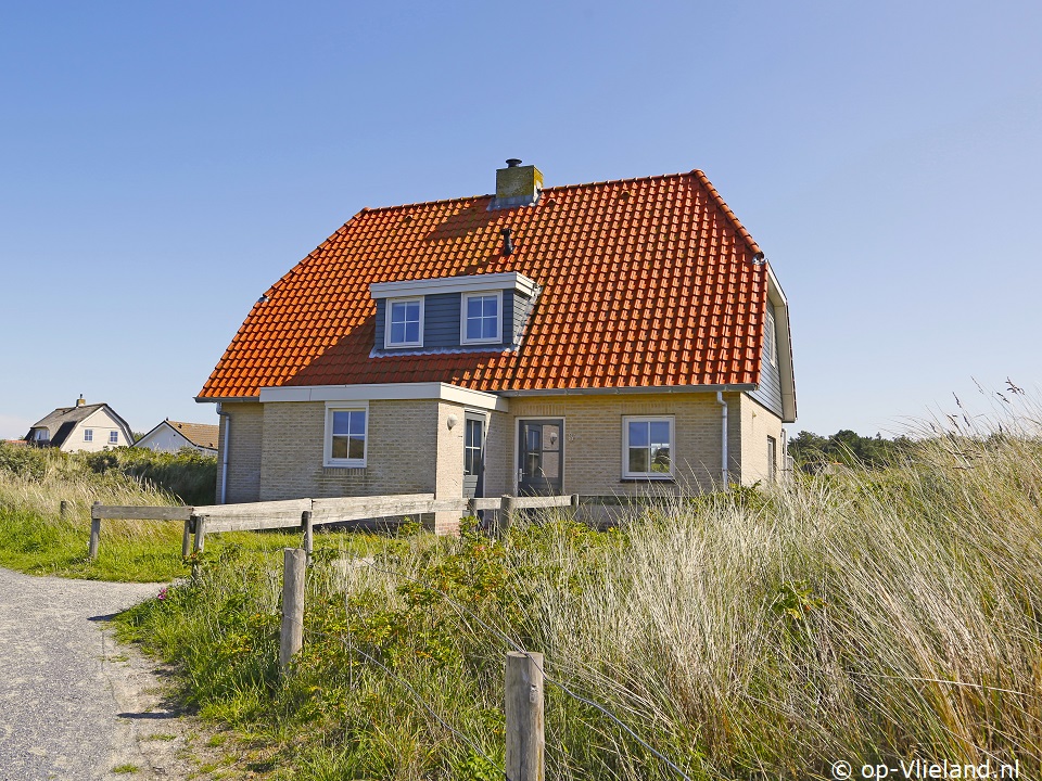 Pallieter, Strand auf Vlieland