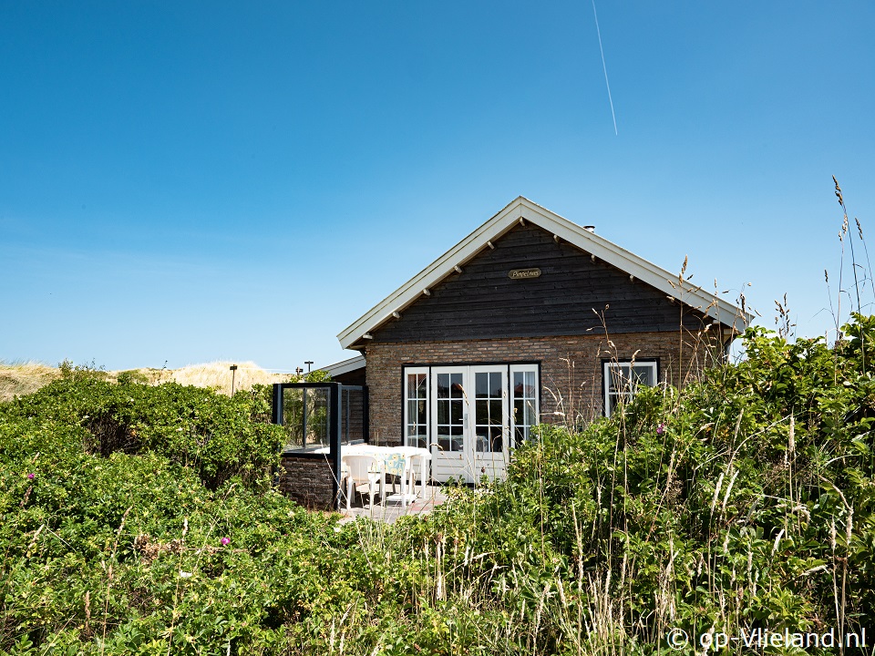 Pimpelmees, Strand auf Vlieland