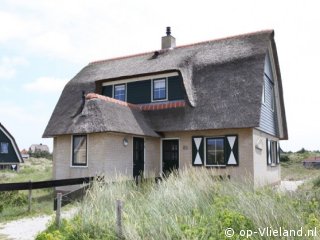 Salamander, Strand auf Vlieland