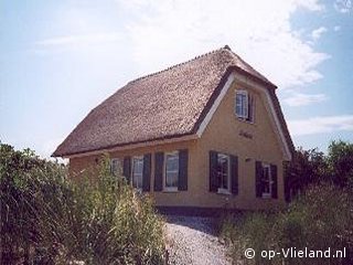 Thalassa, Strand auf Vlieland