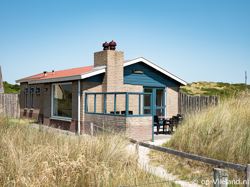 Turkse Tortel, Strand auf Vlieland