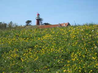 Facebook-Seite für auf Vlieland