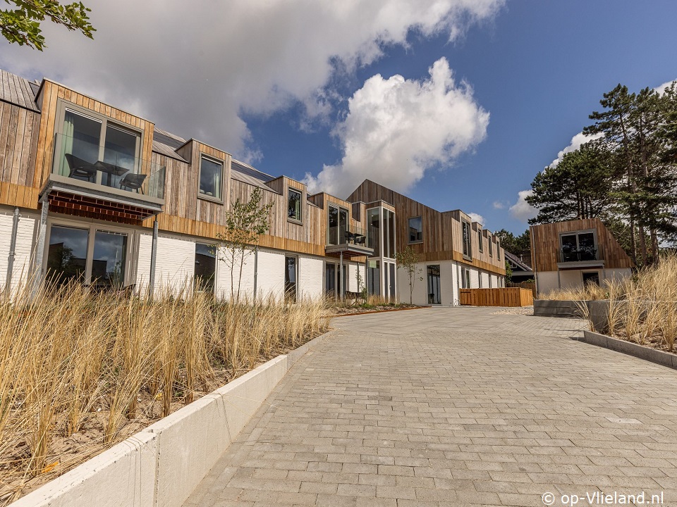 2p appt in de Kluut, Eigene Preiselbeeren pflücken auf Vlieland