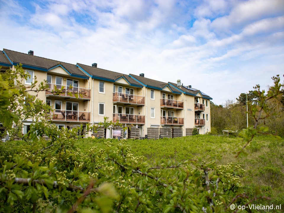 Lahringen (3), Der Königstag auf Vlieland