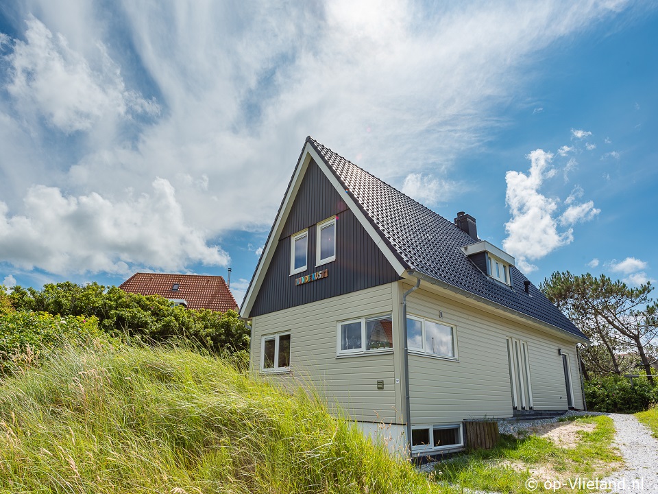 Aan de kust, Eigene Preiselbeeren pflücken auf Vlieland