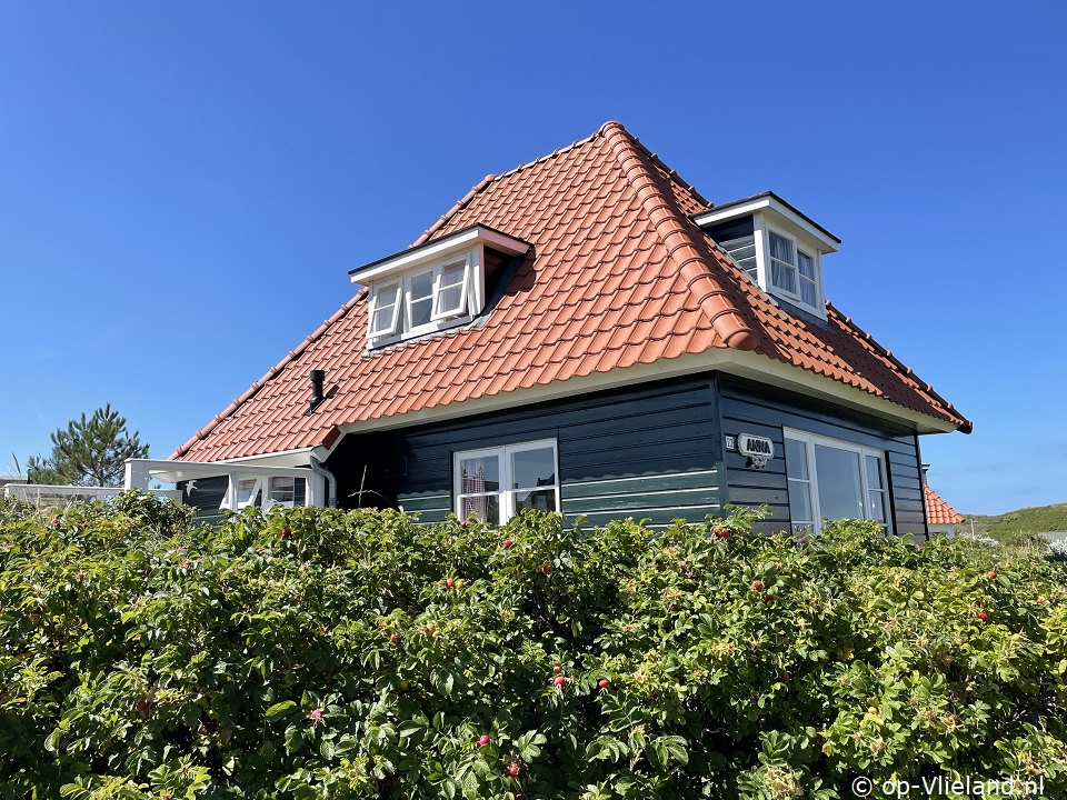 Anna, Sturm auf Vlieland