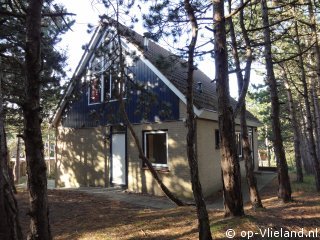 Vlaamse Gaai, Kunstroute Vlieland