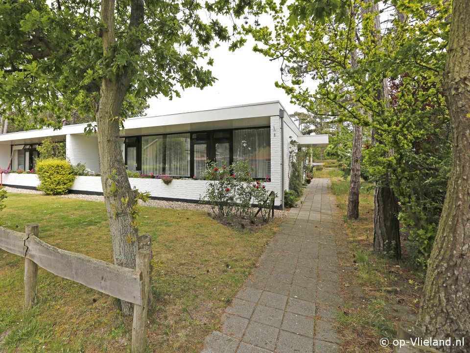 Houtsnip, Bungalow auf Vlieland