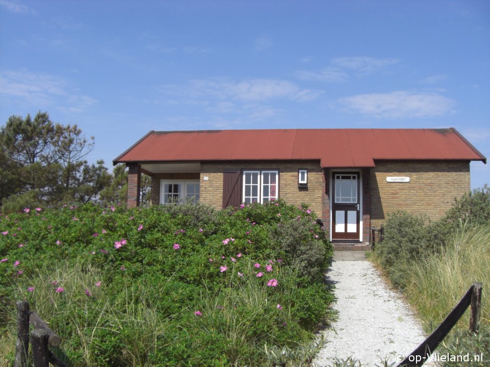 Kwikstaart, Ferienhaus auf Vlieland für 6 Personen