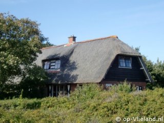 Leeuwerik, Ferienhaus auf Vlieland für 6 Personen