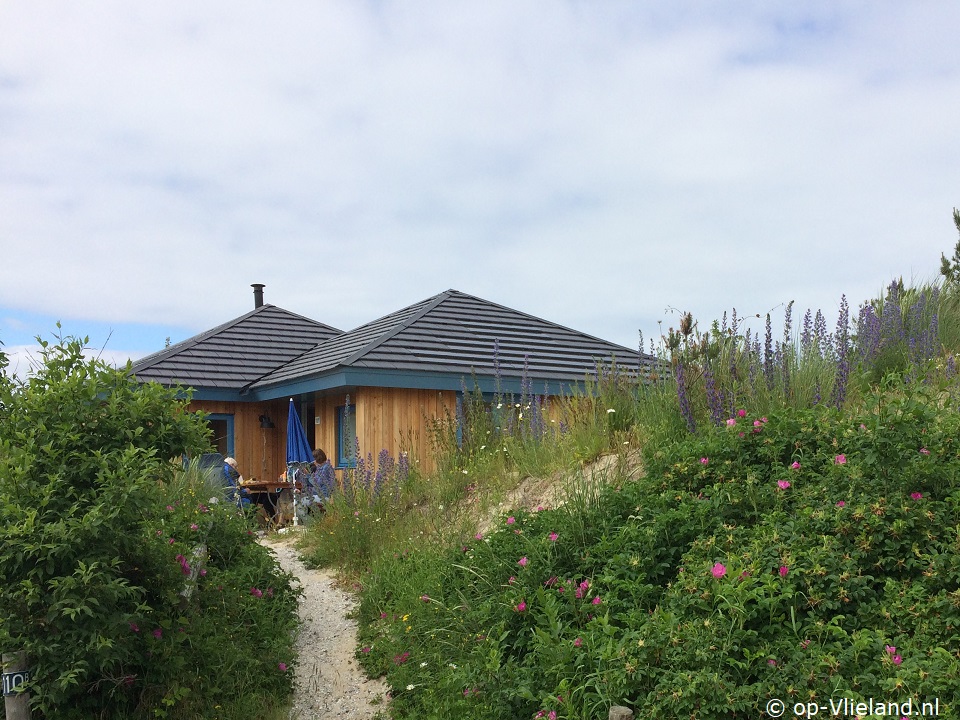 Winjewanje, Ferienhaus auf Vlieland für 6 Personen