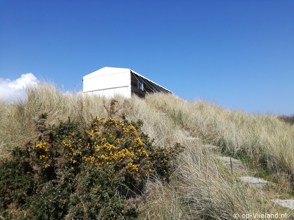 Duinzicht Stortemelk, Ferienhaus auf Vlieland für 6 Personen