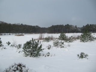 Weihnachten auf Vlieland