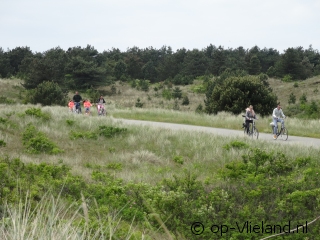 Ein frischer Wind auf Vlieland