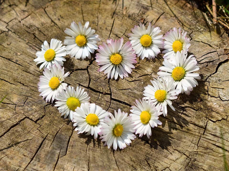 Valentinstagswochenende auf Vlieland