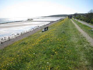 Frühling auf Vlieland